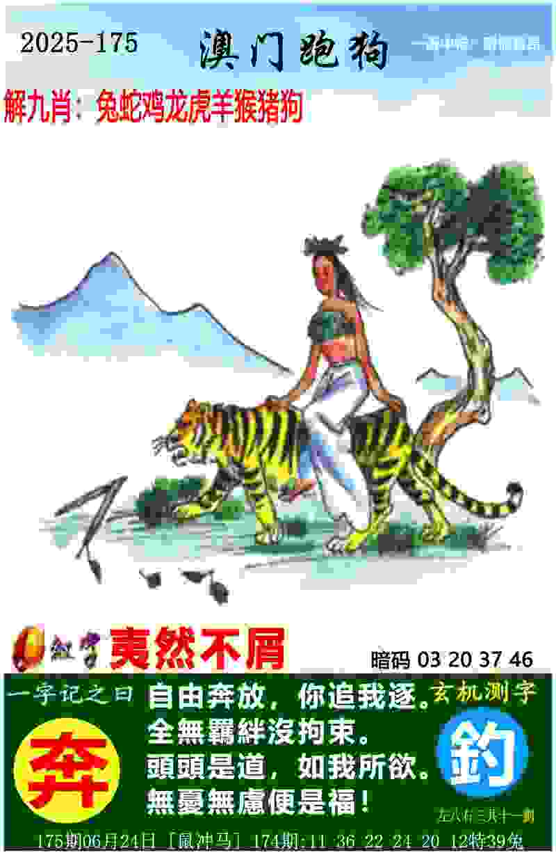 >2025新澳历史记录查询结果